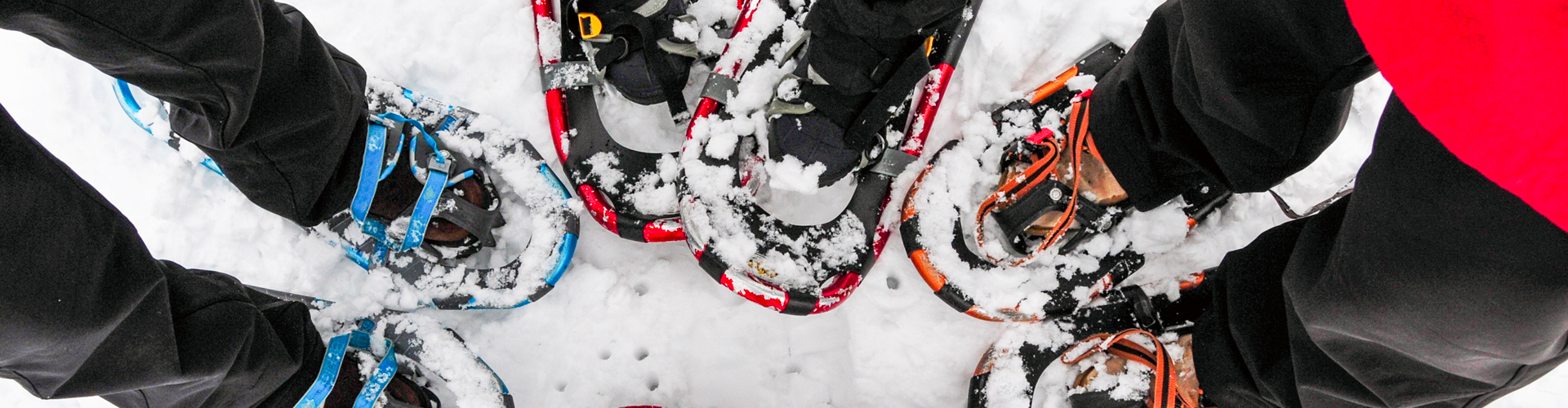 2019 - Univers montagne !