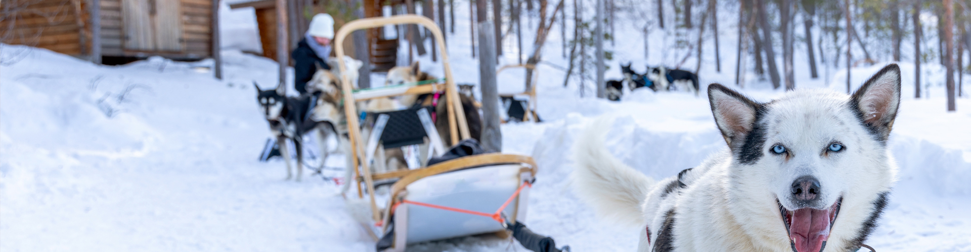 2021 - Premières glisses