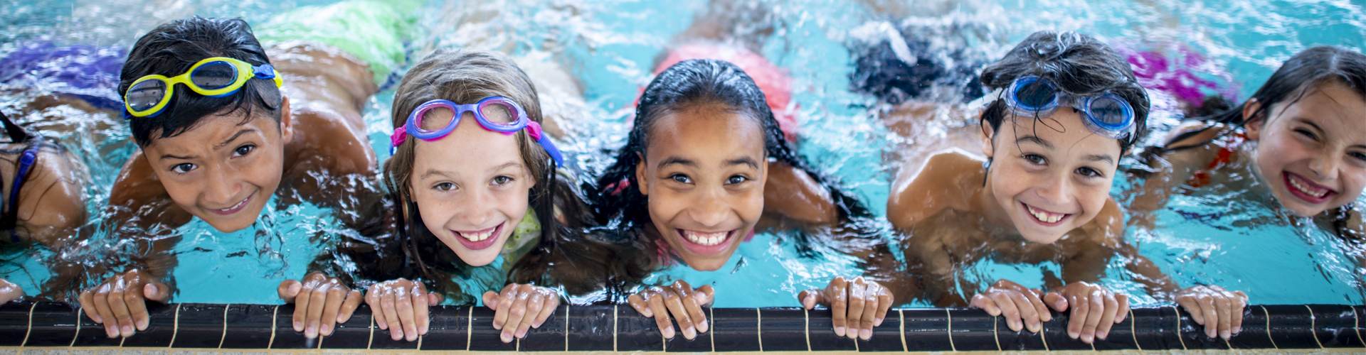 2022 - Petits tritons