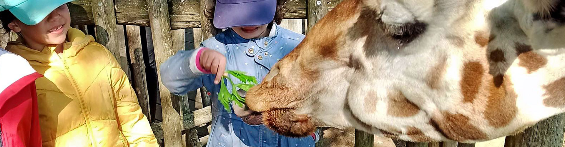 1104 - Les coulisses du Zoo