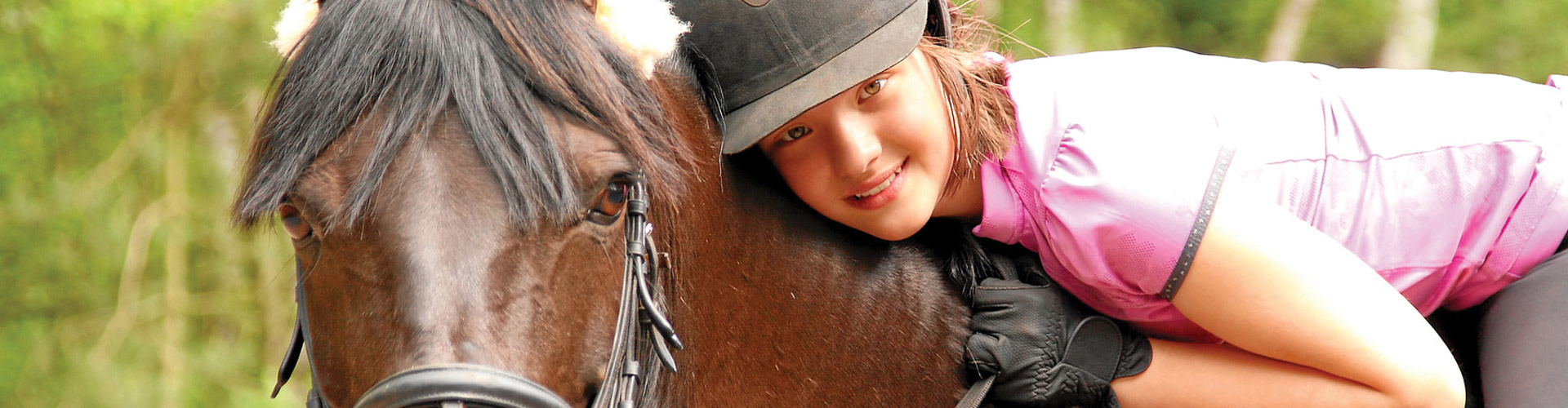 2132 - Cavalier Normand