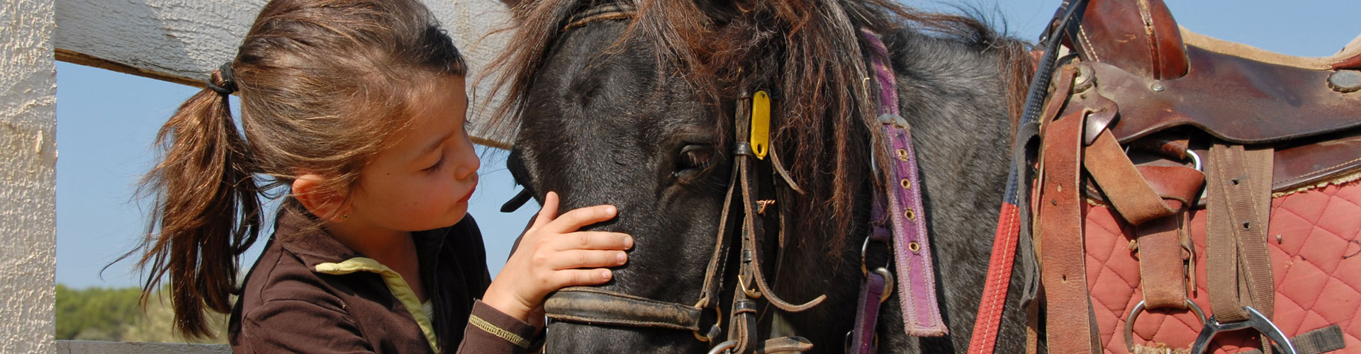 2133 - Poney et Nature