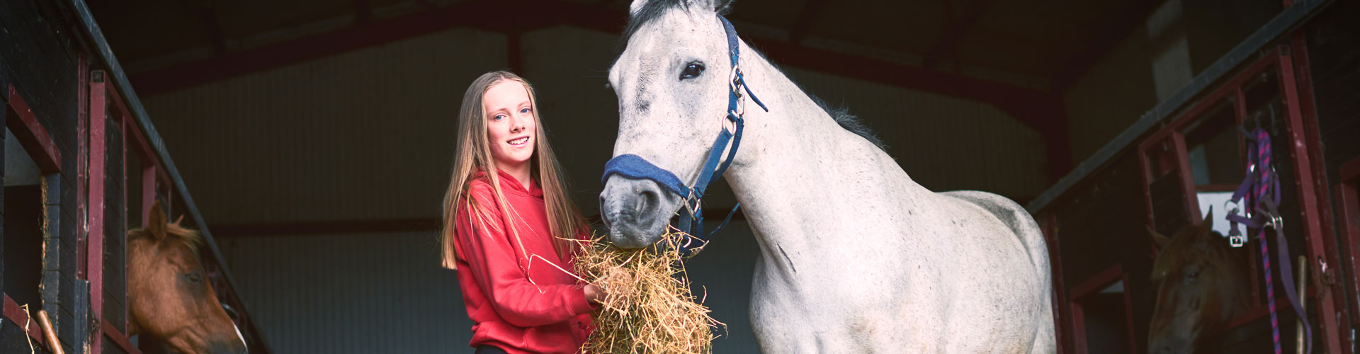 5100 - Passion Equitation