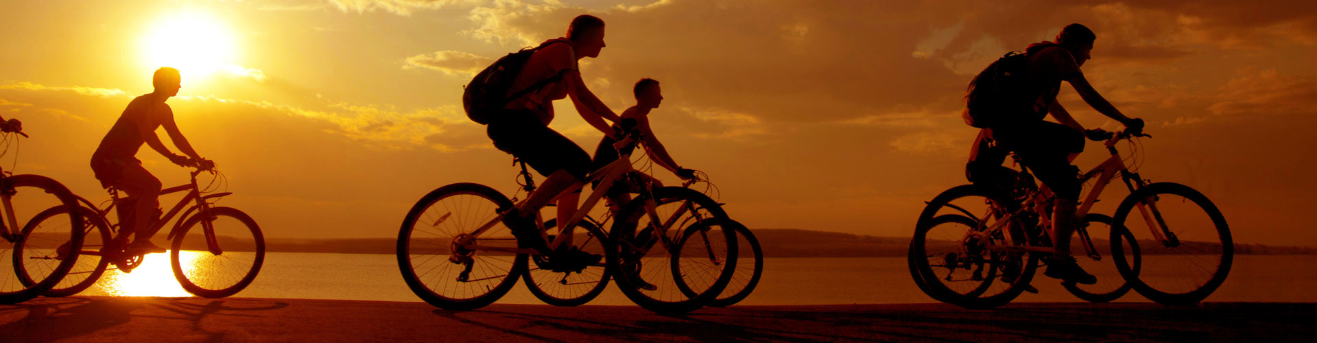 4106 - Canal du midi à vélo