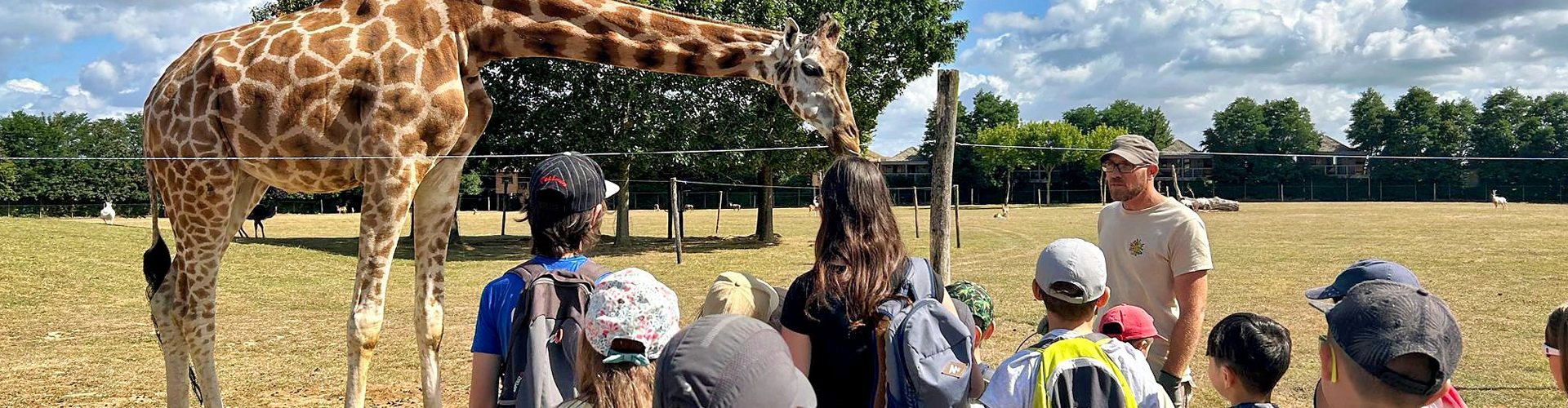 1203 - Les coulisses du zoo