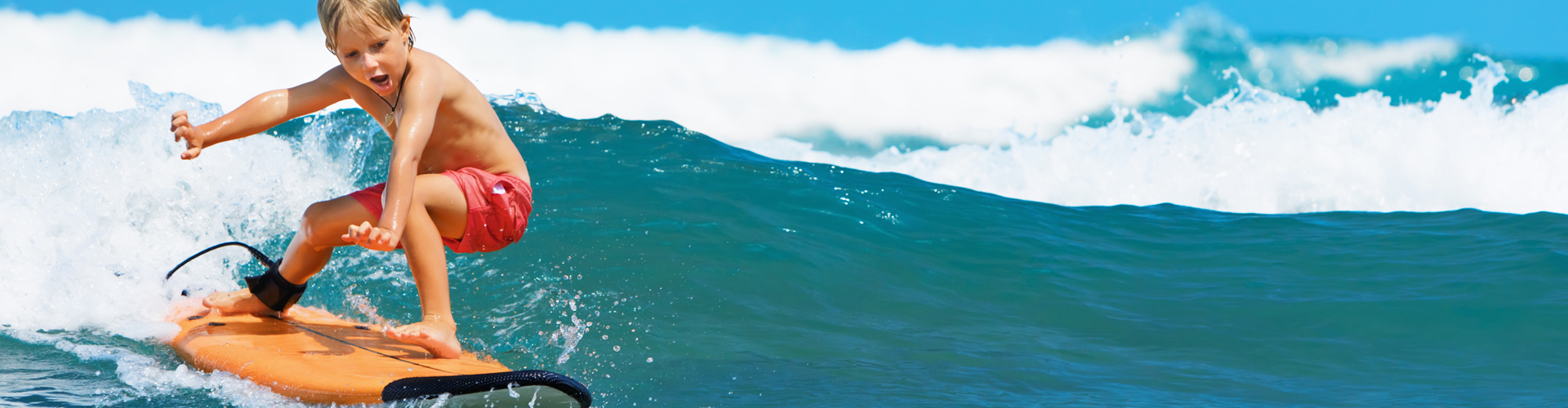 1204 - Landes nautiques