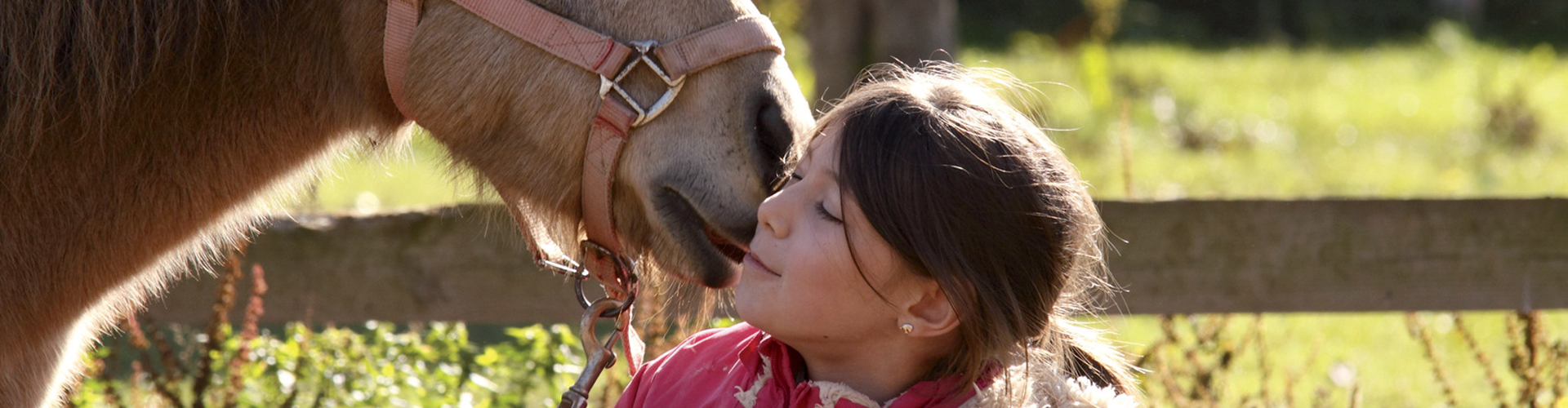 1223 - Mes premières découvertes
