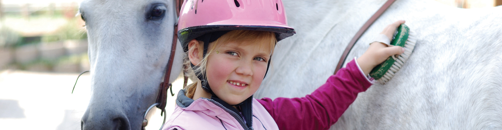 2270 - Sport Academy - equitation