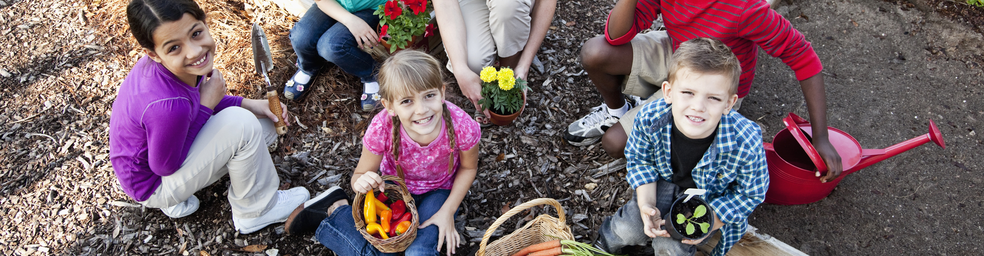 2271 - Les aventuriers de l'éco village