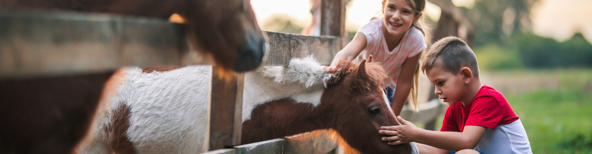 2277 - Mes premières découvertes