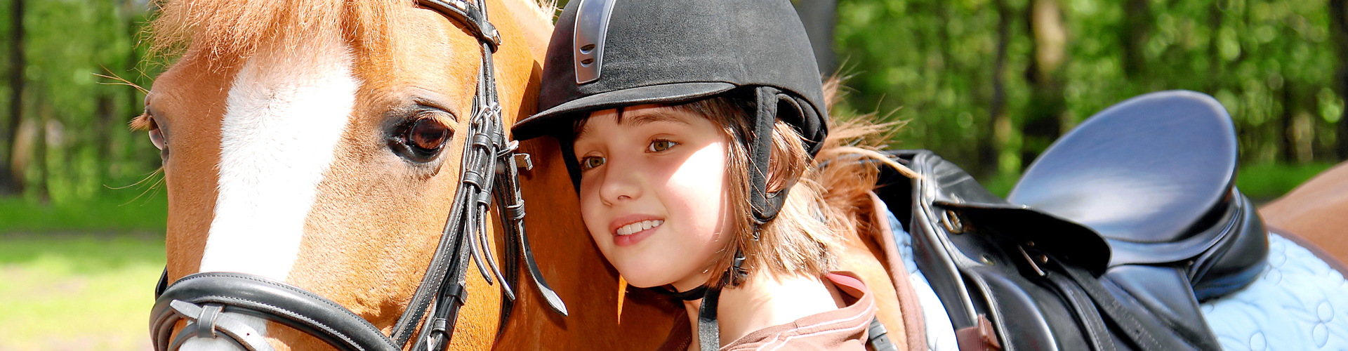 3228 - Destination Cheval