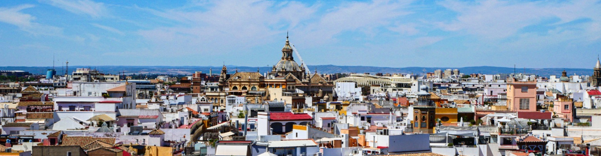 7262 - La belle Andalouse