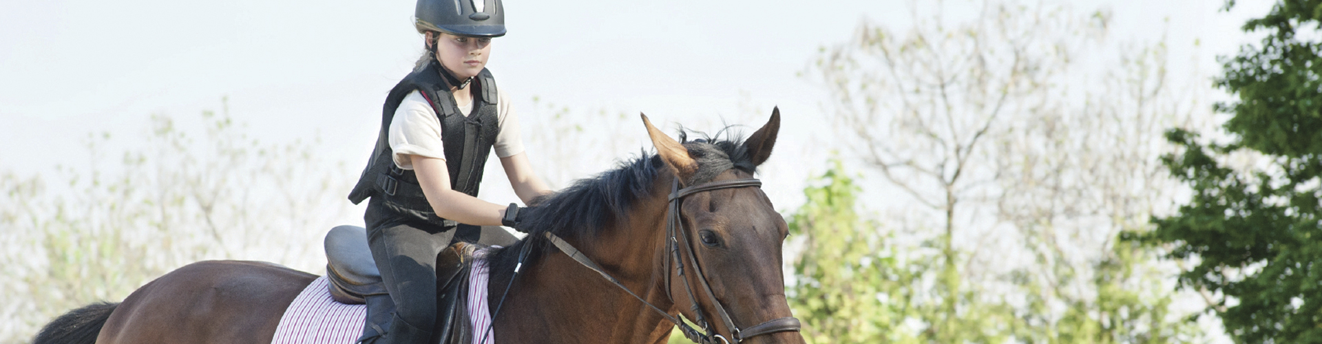 2284 - Au galop vers l’aventure !