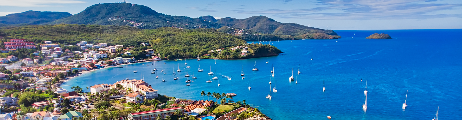 2920 - L'Ile aux Fleurs