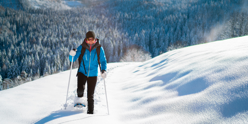 Image DÉCOUVERTE DE LA MARCHE EN HIVER*
